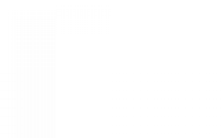 Zyzz