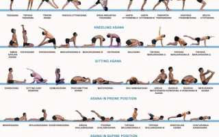Асаны в хатха йоге