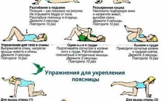 Растяжка спины и позвоночника