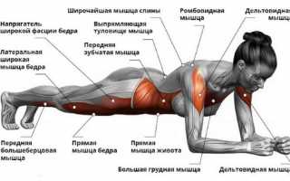 Как научиться стоять на локтях в планке