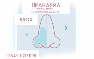 Анулома-вилома пранаяма