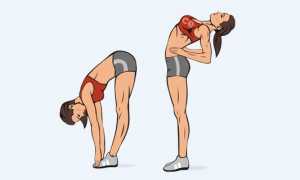 Наклоны туловища вперед