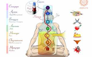 Джала нети — как правильно сделать