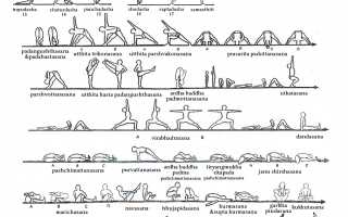Аштанга-виньяса-йога