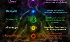 Муладхара чакра: изучаем и разбираемся за что она отвечает