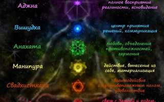 Муладхара чакра: изучаем и разбираемся за что она отвечает