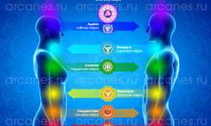 Мужские и женские чакры