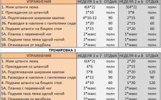 Упражнения и программа тренировок на развитие силы