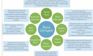 Разновидности йоги, их отличия и описание