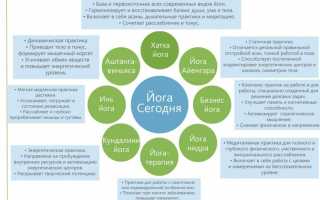 Разновидности йоги, их отличия и описание