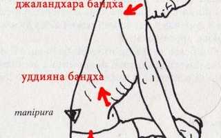 Мула бандха — энергетический замок