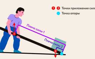 Лекция 2. история биомеханики