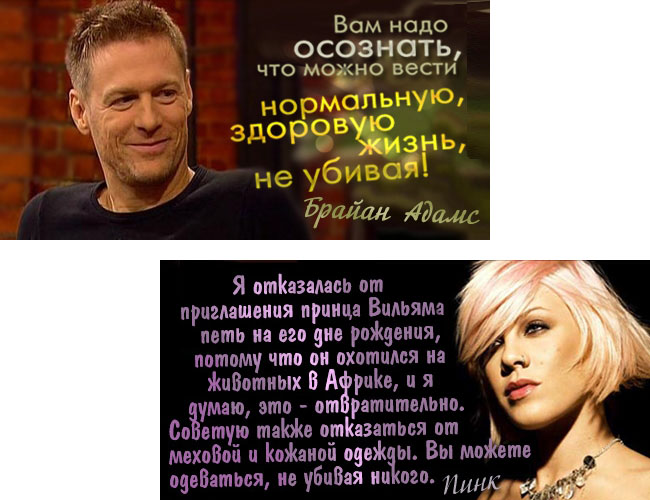 Вегетарианцы-музыканты Брайан Адамс и Пинк