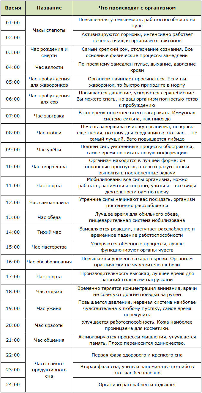 Биологические ритмы: как работает организм человека в те или иные часы