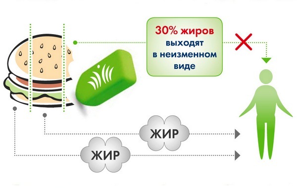 Действие капсул Ксеникал