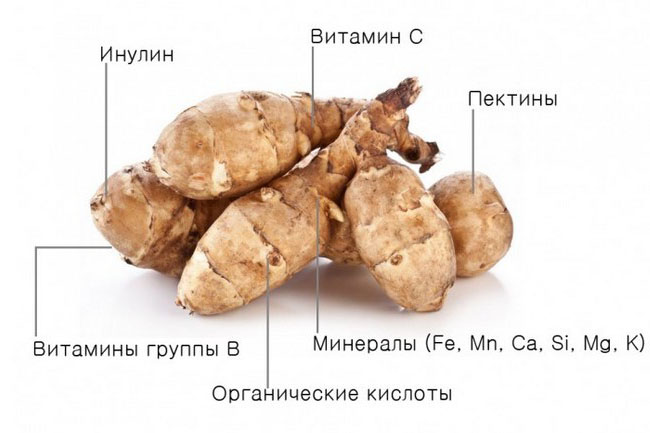 Состав топинамбура