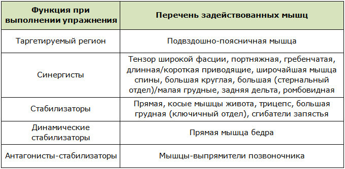 Мышечный атлас при занятиях с роликом для пресса