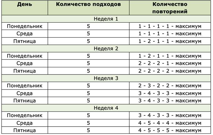 Программа тренировок на турнике для начинающих
