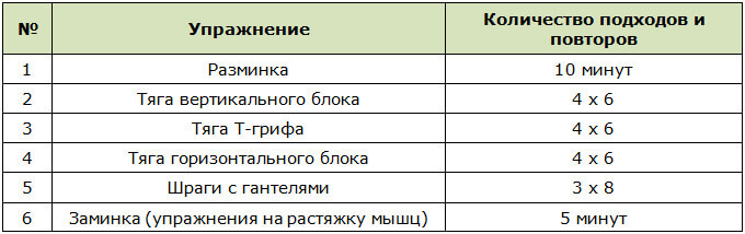 Программа тренировок мышц спины для среднего уровня подготовки