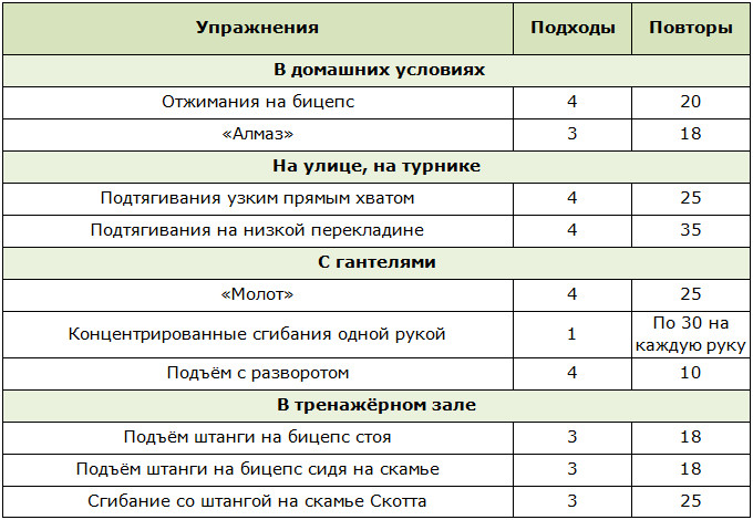 Программа тренировок для прокачки внешней части двуглавой мышцы