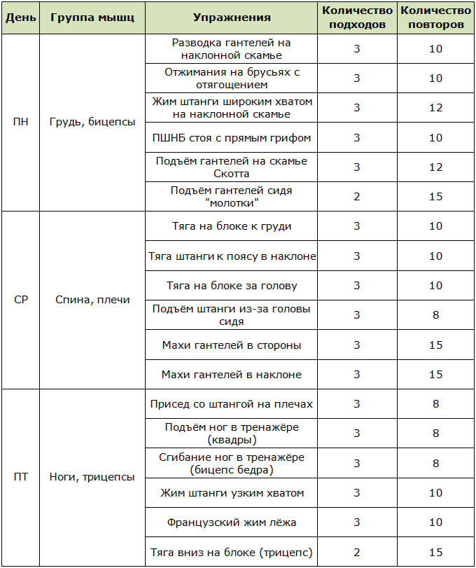 Программа сплит тренировок для мужчин на 3 дня