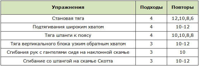Сплит-программа спина-бицепс