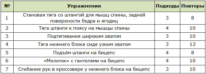 Программа тренировок для прокачки спины и бицепса