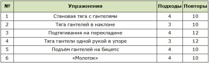 Программа тренировок на массу дома для прокачки спины и бицепса