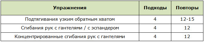Программа для тренировок бицепса в домашних условиях