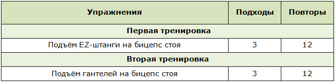 Программы для тренировок в тренажёрном зале для новичков