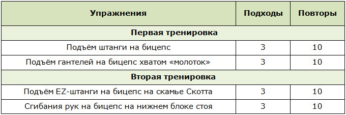 Программы для тренировок в тренажёрном зале для продвинутых новичков