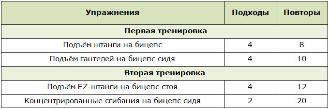 Программы для тренировок в тренажёрном зале для любителей