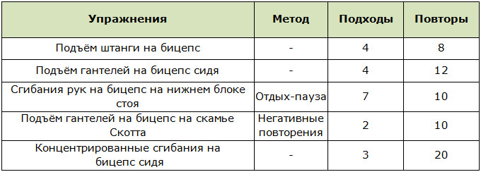 Программы для тренировок в тренажёрном зале для профессионалов