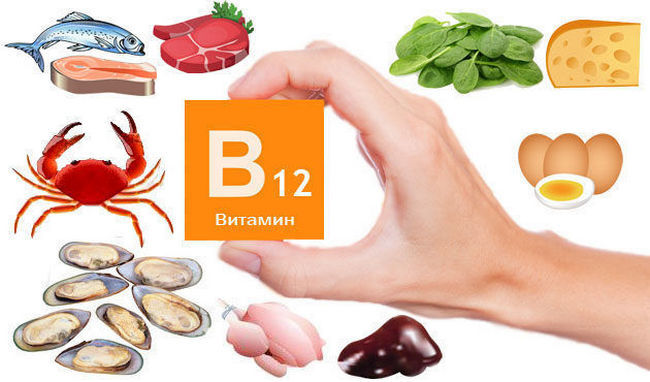 Продукты с витамином B12